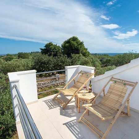 Vila Lila Дрвеник-Мали Экстерьер фото