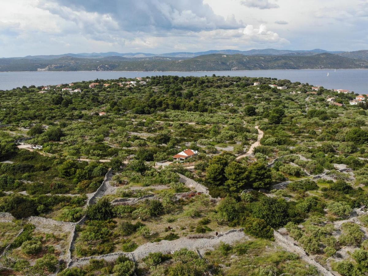 Vila Lila Дрвеник-Мали Экстерьер фото
